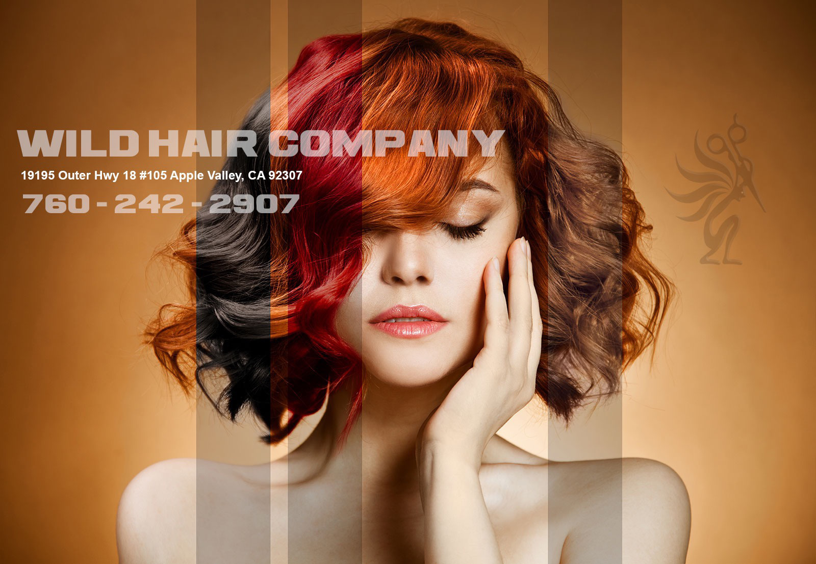 Wild Hair Company Salon & Day Spa
